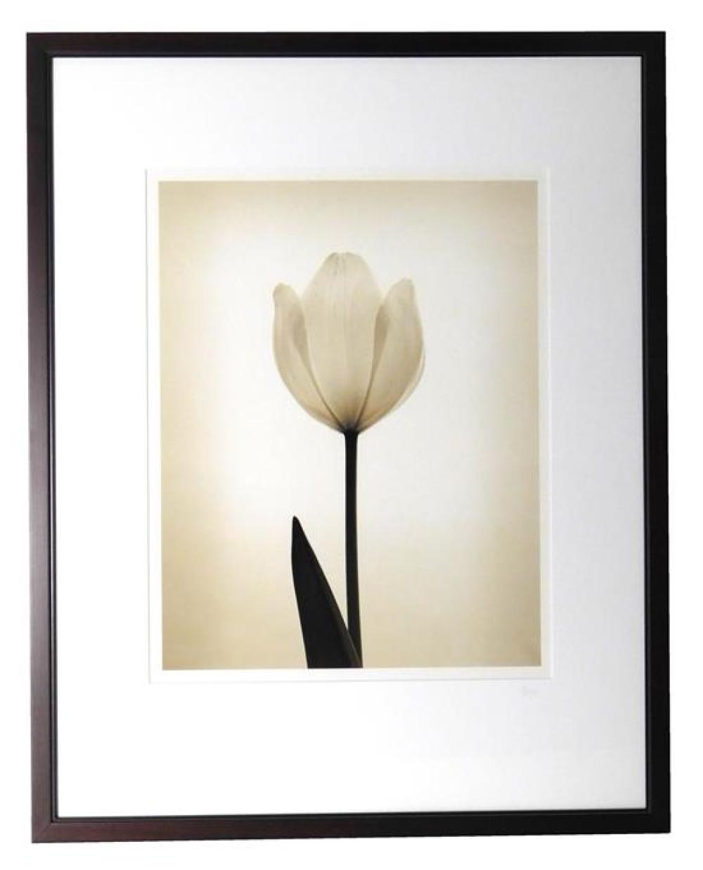 Appraisal: Andrew Soujani American st C silver gelatin printed photograph Tulip