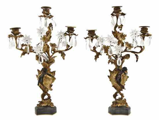 Appraisal: A Pair of Louis XV Style Gilt and Patinated Bronze