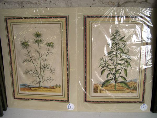 Appraisal: Italian School th Century Botrys Mexiocana Odorata and Melanthium Flore