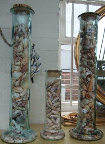 Appraisal: Three cylindrical shaped vases with a quantity of sea shells