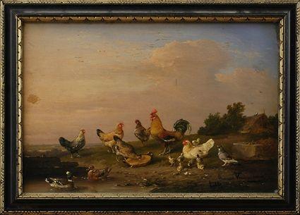 Appraisal: FRANCOIS VANDEVERDONCK - ROOSTER HENS DUCKS AND A PIGEON Oil