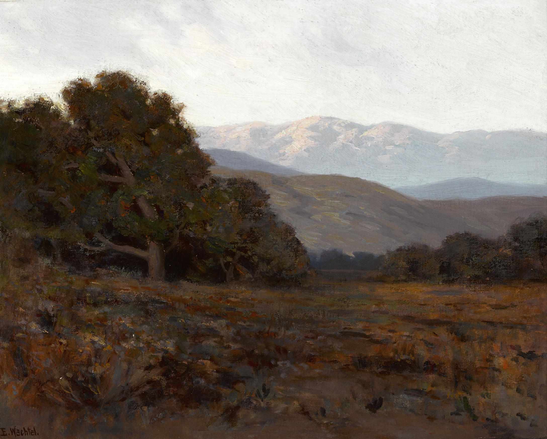 Appraisal: Elmer Wachtel American - Shadowy hills with sunlit mountains in