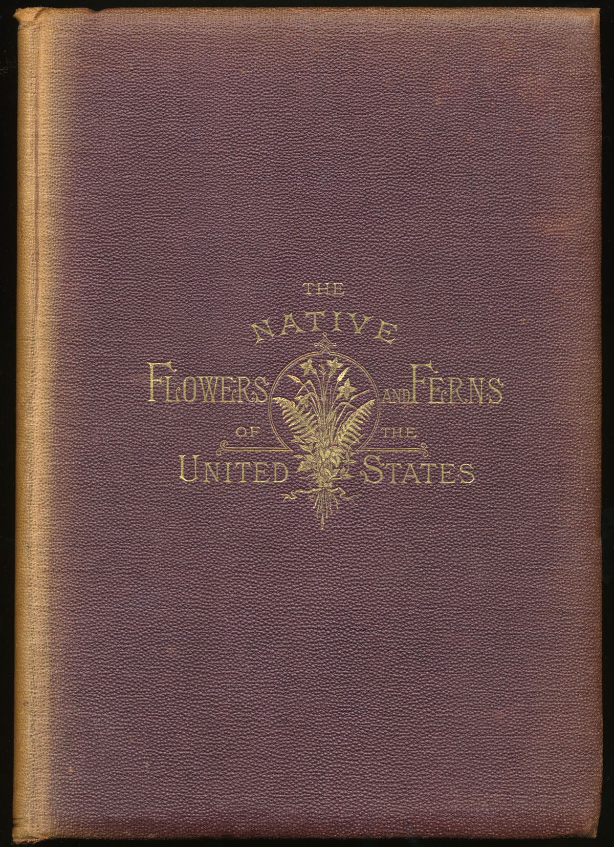 Appraisal: THOMAS MEEHAN quot THE NATIVE FLOWERS AND FERNS OF THE