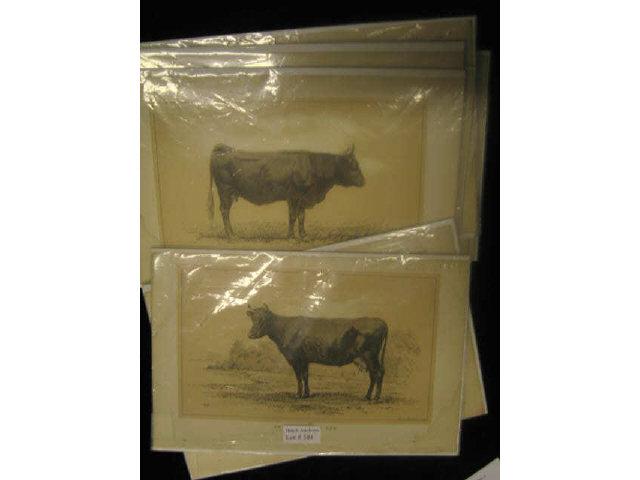 Appraisal: Victorian Prints of Cows