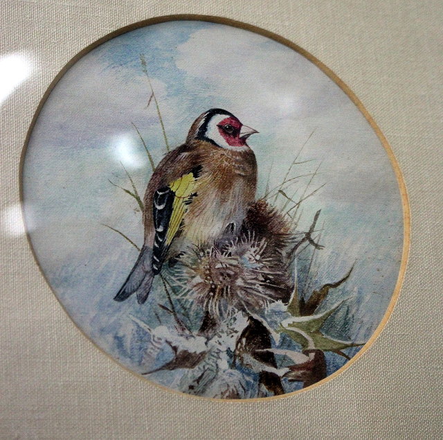 Appraisal: TH CENTURY ENGLISH SCHOOLA goldfinch perched on a branch watercolour