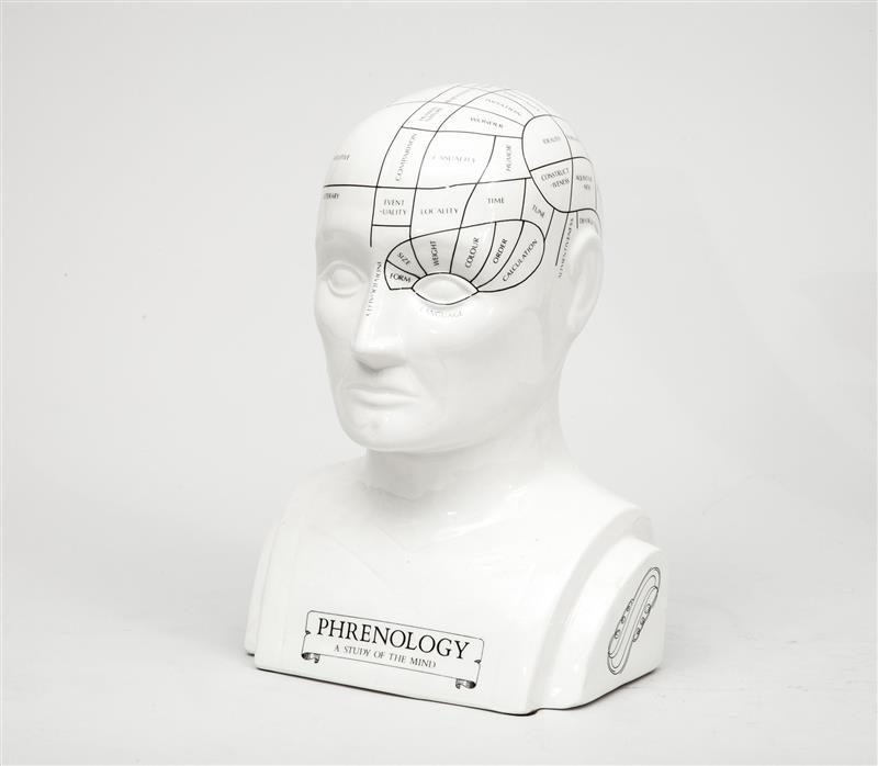 Appraisal: Phrenology Model Ceramic x x in Property from a Private