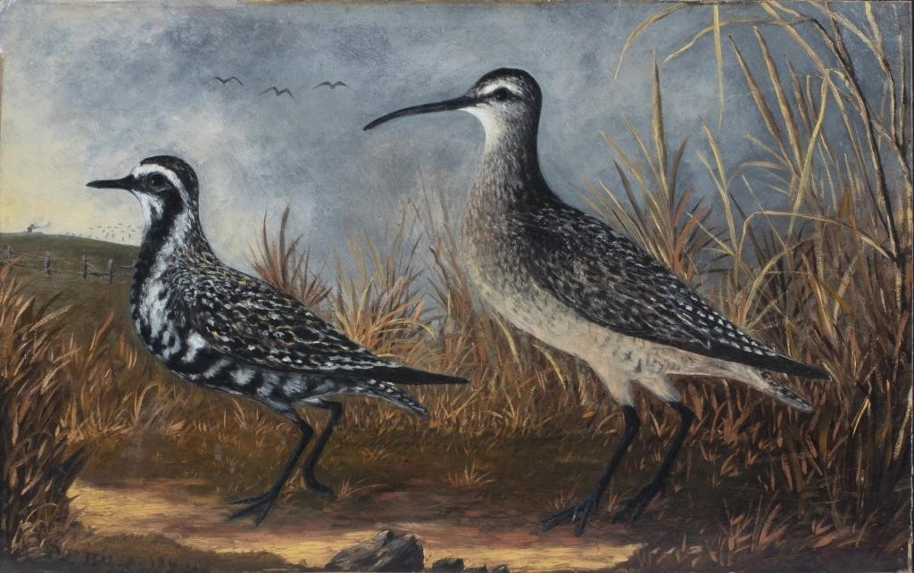 Appraisal: AMERICAN SCHOOL TH CENTURY Shorebird Hunting signed and dated D