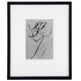 Appraisal: Aaron Siskind photograph Aaron Siskind photograph Aaron Siskind American -