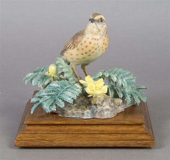 Appraisal: A Royal Worcester Dorothy Doughty Bird Meadow Pipet Height inches