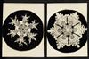 Appraisal: WILSON A BENTLEY - An album with photographs of snowflakes