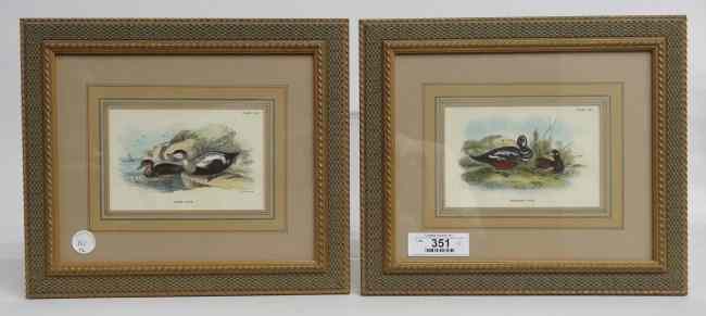 Appraisal: Pair duck prints ''Rider Duck'' and ''Harlequin Duck'' sights ''