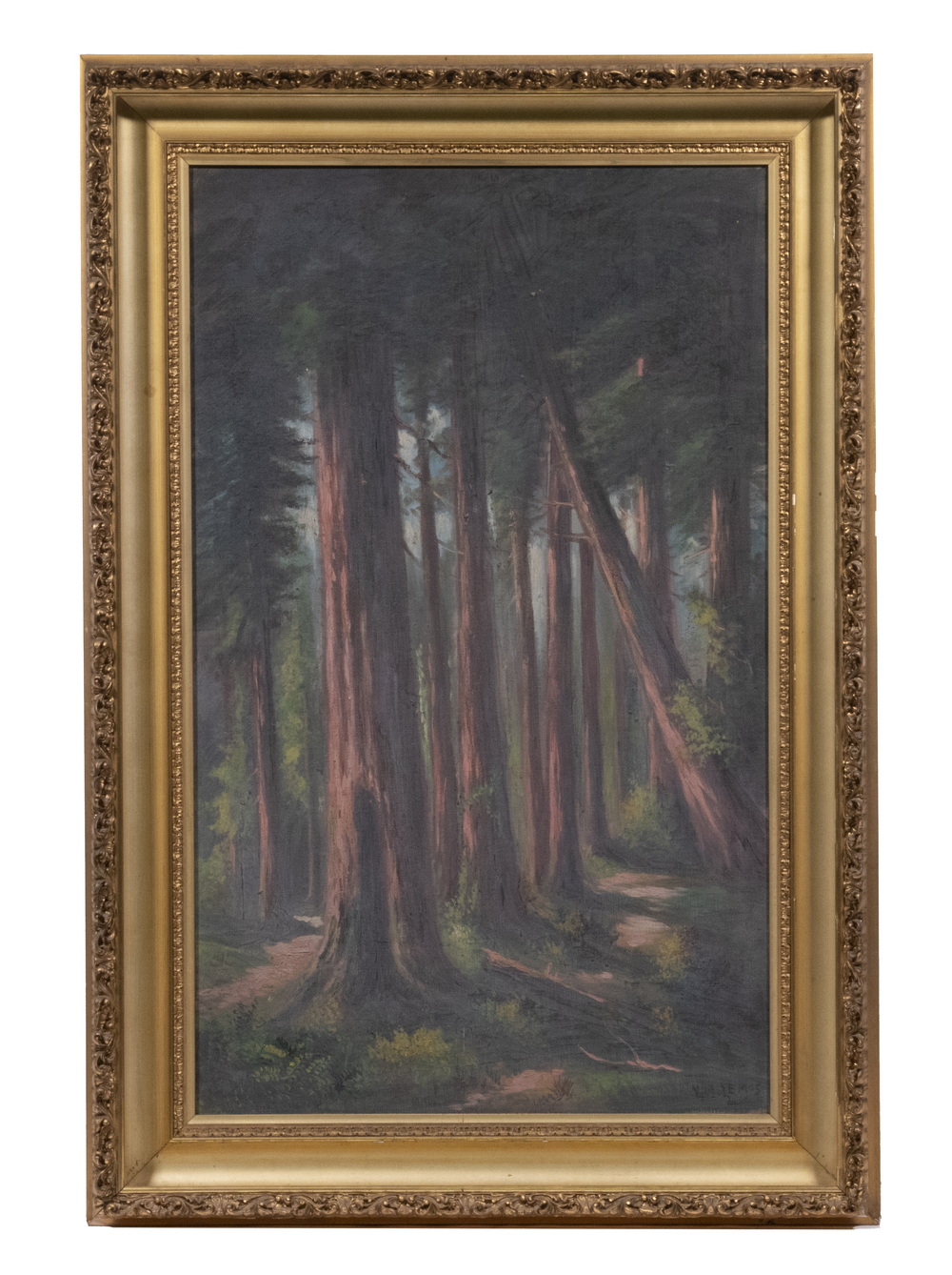 Appraisal: JOHN THOMAS LEMOS CA NV - Redwood Forest oil on