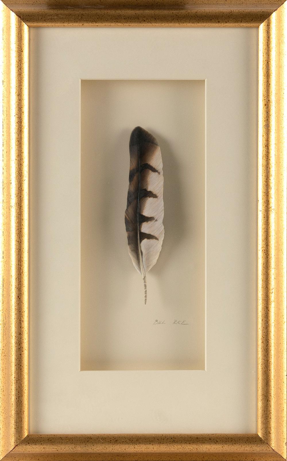 Appraisal: BILL J RICE CONNECTICUT B HEN COOPERS HAWK FEATHER CARVED