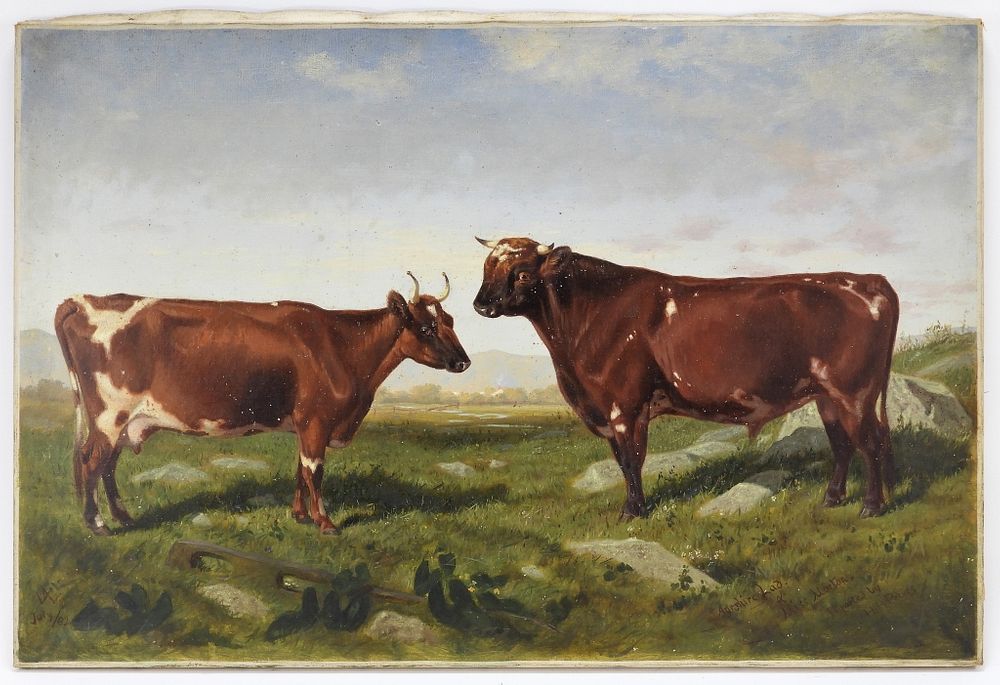 Appraisal: C English School Prize Bull Heifer Painting England Dated Realist