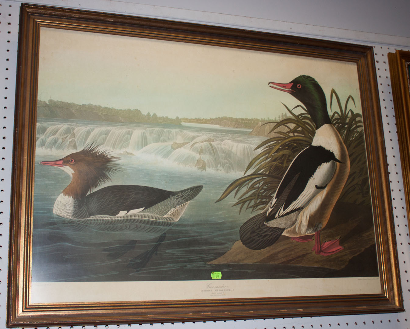 Appraisal: Reproduction framed Audubon print