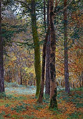 Appraisal: Gunnar Widforss Sunlit Groveoil on panel x in