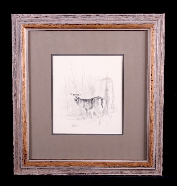 Appraisal: Original Ron Bailey Framed Doe Pencil Scetch This is an