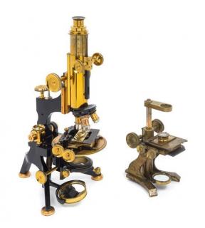 Appraisal: An English Brass and Black Lacquered Microscope Height inches An