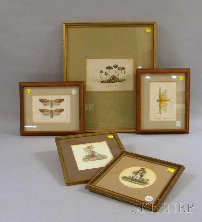 Appraisal: Five Framed Prints including a mycological print two entomological prints