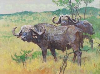 Appraisal: Cape Buffalo by Bob Kuhn Bob Kuhn - acrylic on