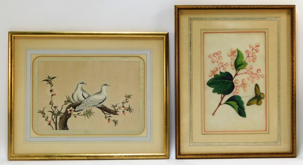 Appraisal: PC C CHINESE BOTANICAL AVIAN PITH PAINTINGS China th CenturyIncludes