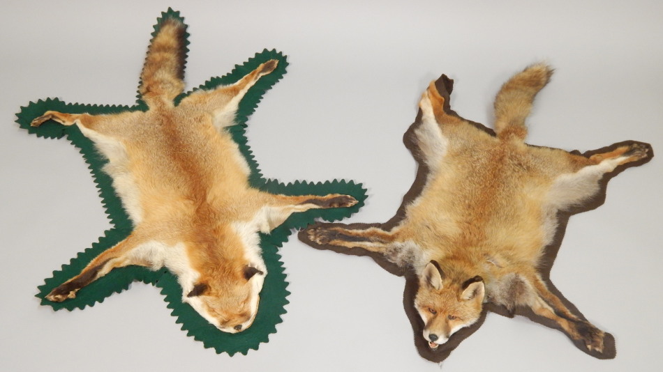 Appraisal: Two fox skin rugs one with taxidermied head and brown