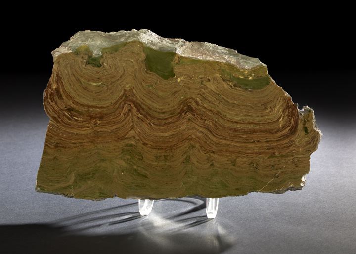 Appraisal: Large Igneous Rock Fragment split and polished with green yellow