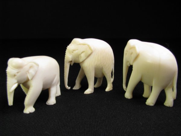 Appraisal: Carved ivory elephant figures Two elephants are missing there tusks