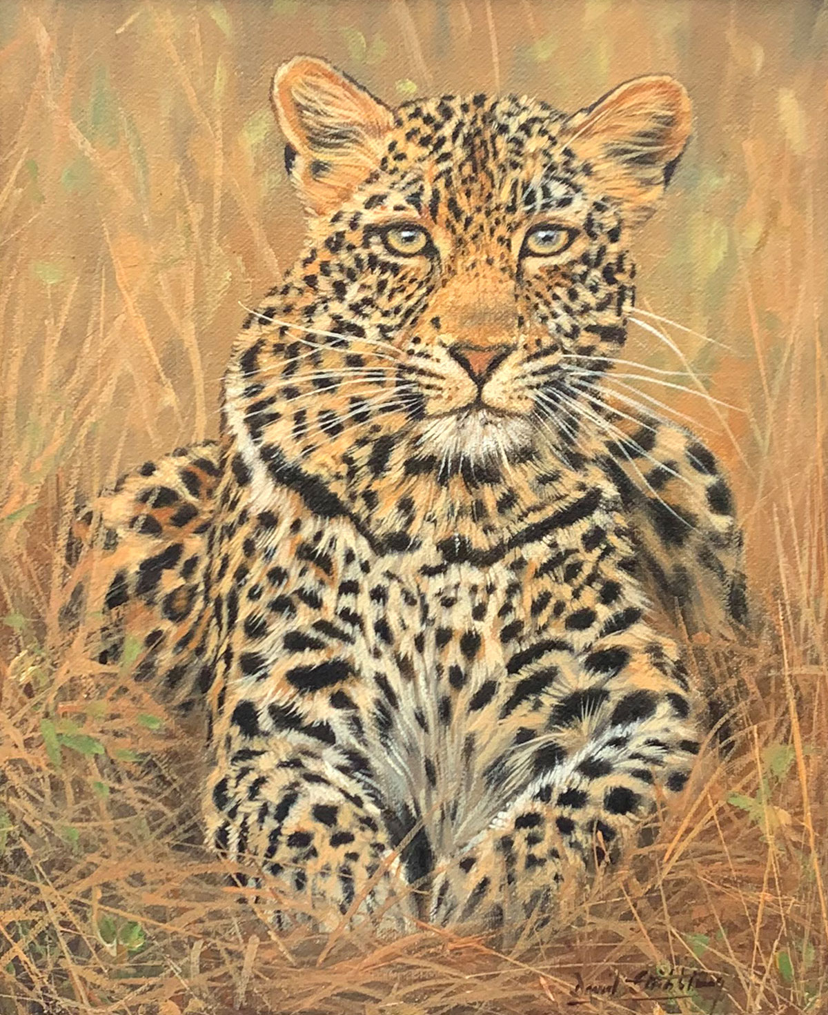 Appraisal: STRIBBLING David British th C Portrait of a Leopard Oil