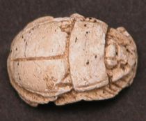 Appraisal: Egyptian Glazed White Steatite Scarab th th Dynasty - B