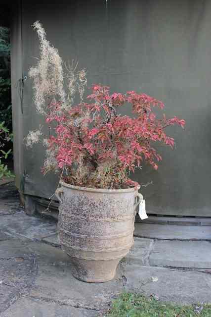 Appraisal: A TERRACOTTA PLANTER with lug handles and ribbed decoration high