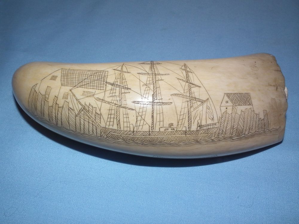 Appraisal: SCRIMSHAW WHALE TOOTH - SHIP SCHOLAR th century scrimshaw whale