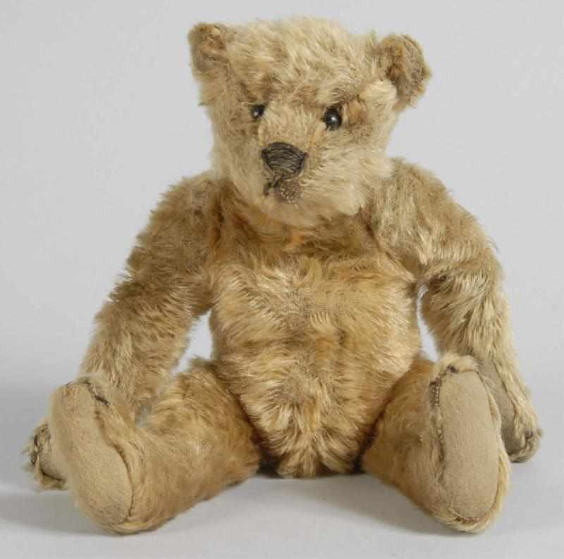 Appraisal: Early Steiff Mohair Teddy Bear Description No button black shoe