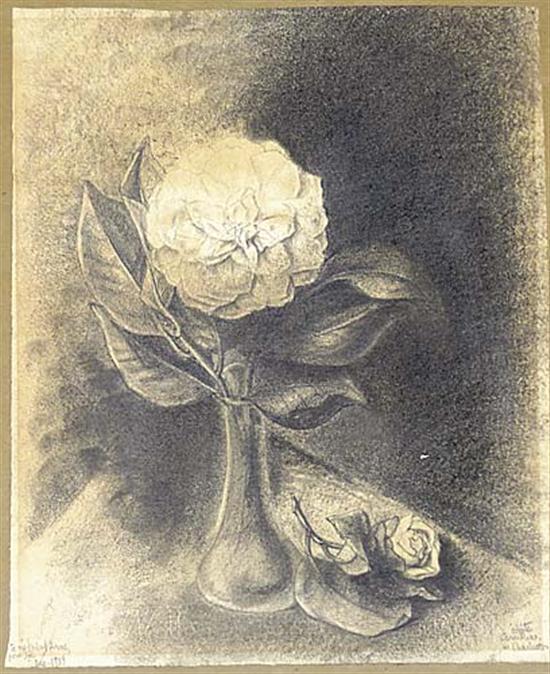 Appraisal: Southern school early th century WHITE CAMELLIAS IN CHARLESTONpencil on