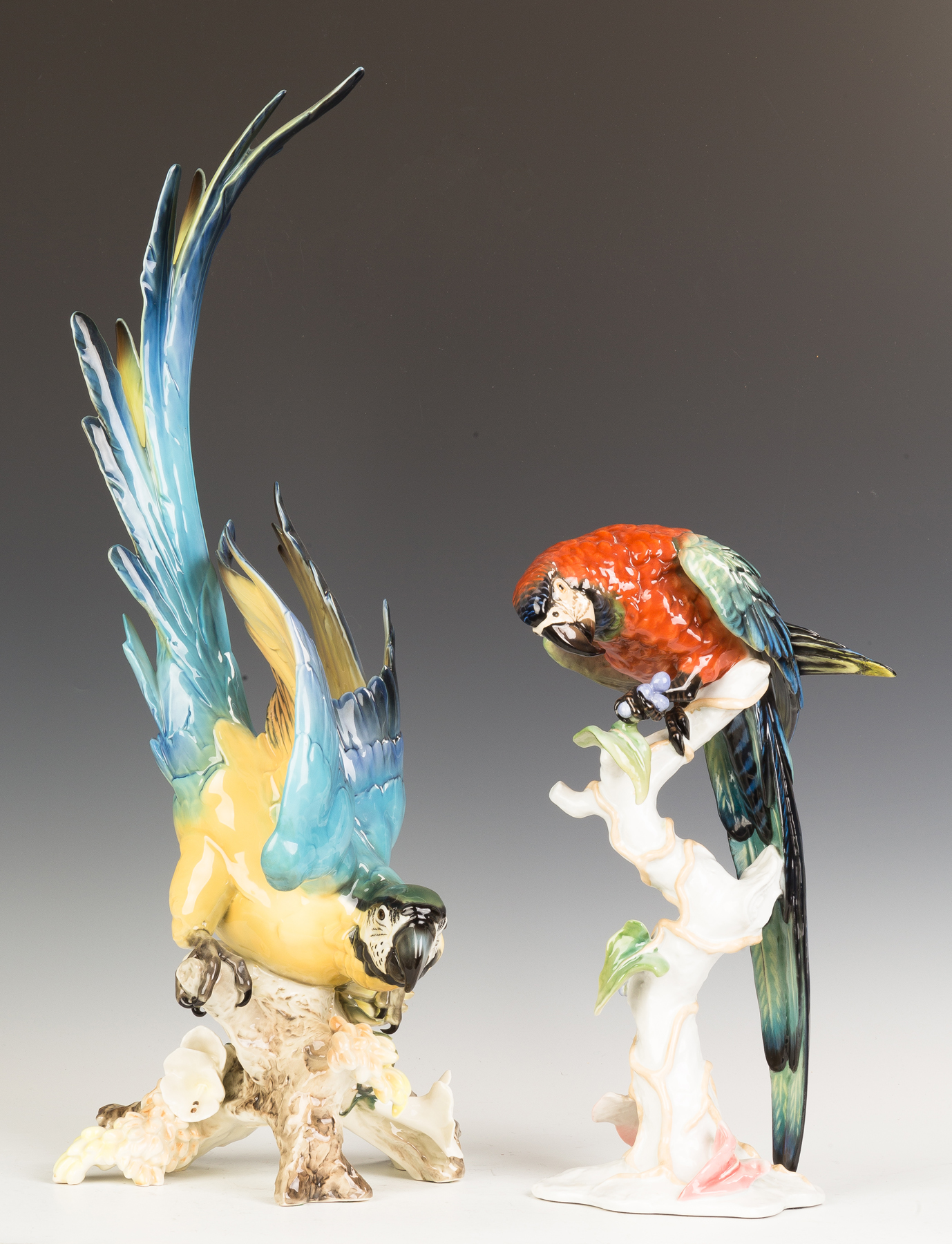 Appraisal: Rosenthal Hand Painted Porcelain Parrots