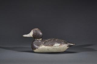 Appraisal: Bluebill Hen Mason Decoy Factory Bluebill HenMason Decoy Factory -