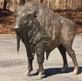 Appraisal: Bronze sculpture of standing bison l Patinated bronze sculpture of