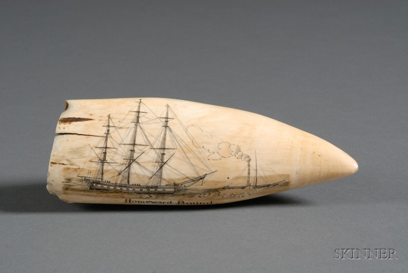 Appraisal: Engraved Whale's Tooth th century one side of the tooth