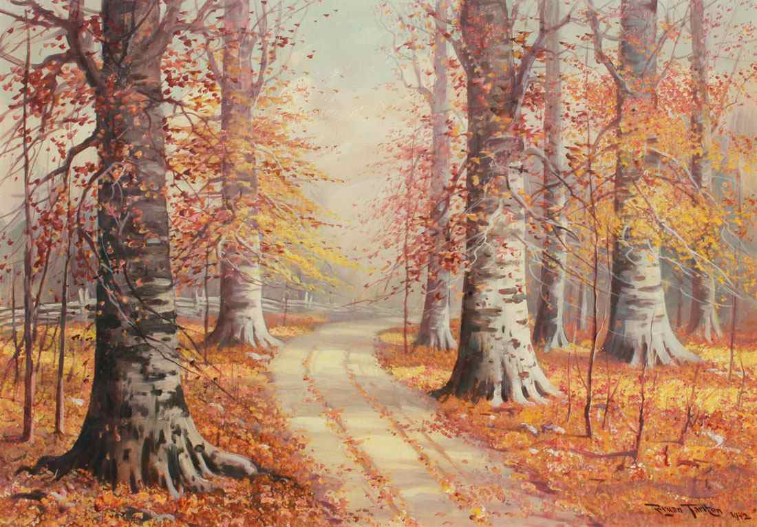 Appraisal: TARLTON Bryan American - Autumnal Birchwood Trail Oil Canvas laid