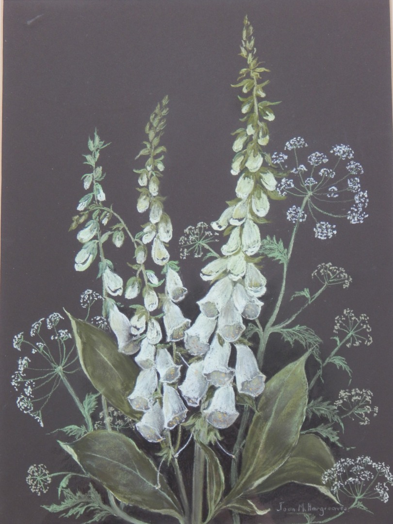 Appraisal: Joan M Hargreaves White Foxgloves pastel signed lower right cm