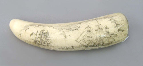 Appraisal: Scrimshaw whale tooth th c l