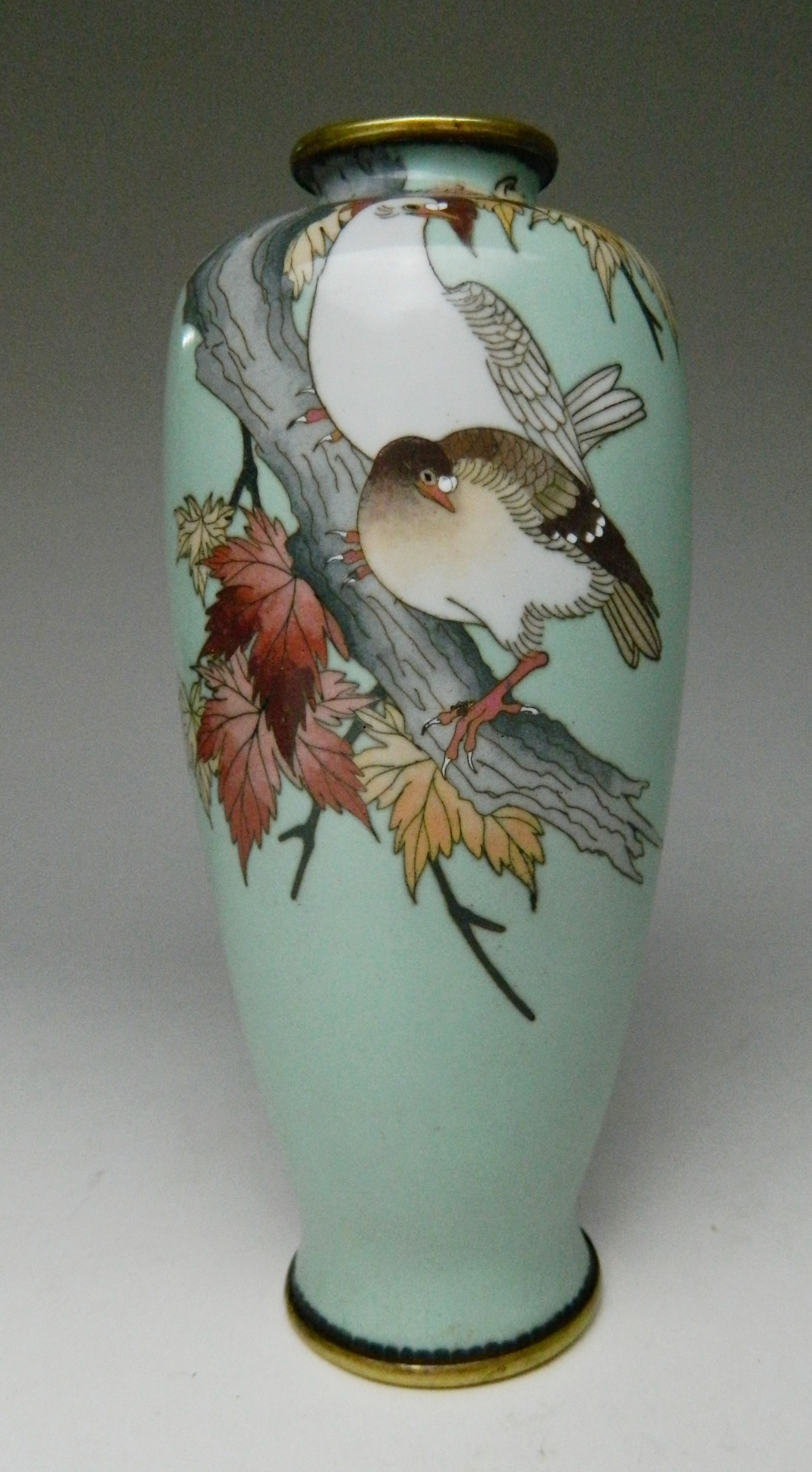 Appraisal: Japanese cloisonne vase- pigeon and maple leaf motif on pale