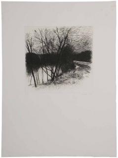 Appraisal: Wolf Kahn New York Vermont born Untitled Trees by a