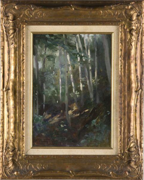 Appraisal: Alphaeus Cole NY - Forest Interior oil on canvas laid