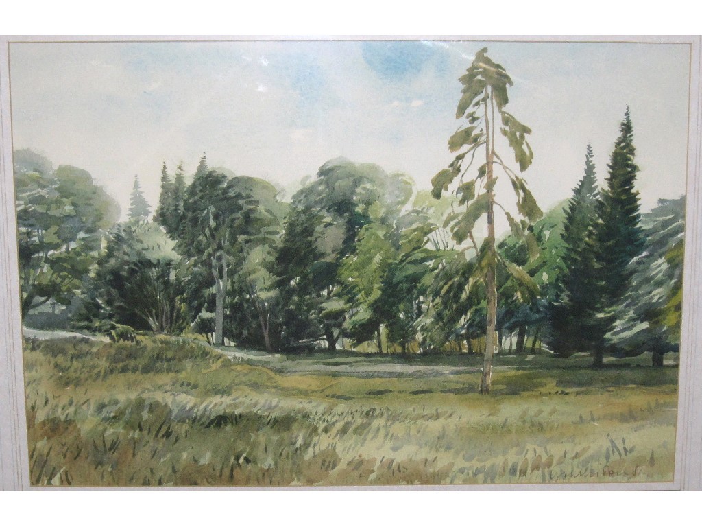 Appraisal: JOHN MATHISON Watercolour wooded scene signed