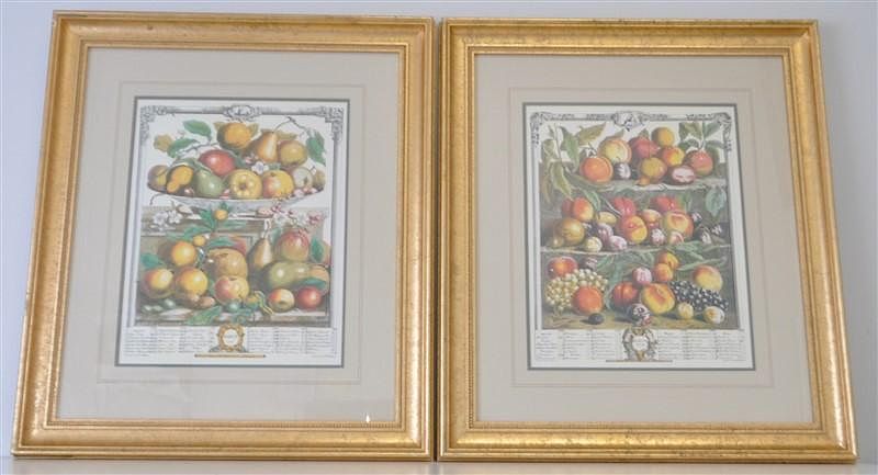 Appraisal: PAIR OF ROBERT FURBER FRUIT ENGRAVINGS Pair of framed engravings