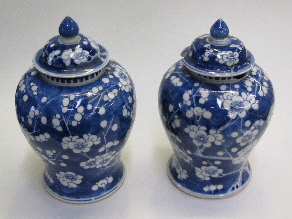 Appraisal: Pair of Chinese blue and white prunus blossom decorated jars