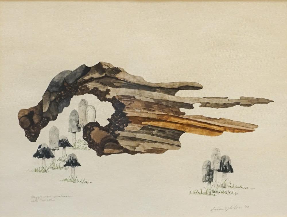 Appraisal: AMERICAN SCHOOL TH CENTURY SHAGGY MANE MUSHROOM WITH WOOD WATERCOLOR