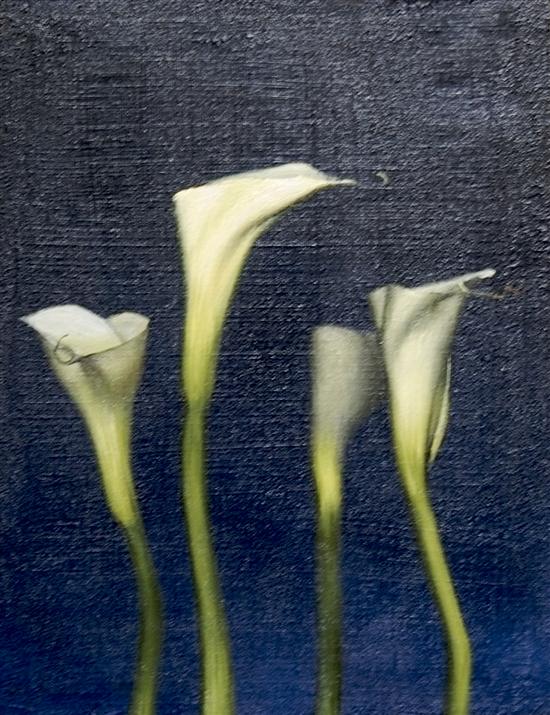 Appraisal: Daniel Sprick American th Century Calla Lilies and Blue Backgroud