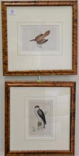 Appraisal: Set of eight hand colored framed bird lithographs by Francis